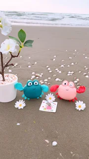 شناگر کوکی خرچنگ🦀
