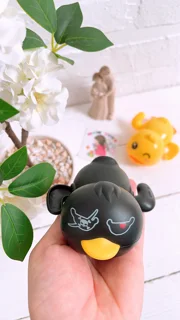 شناگر کوکی جوجه دزد دریایی