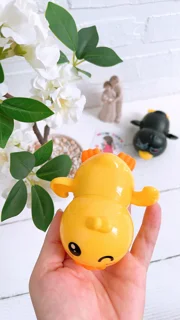 جوجه شناگر کوکی