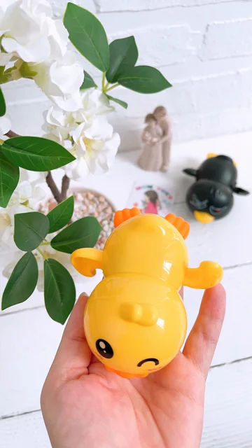 جوجه شناگر کوکی